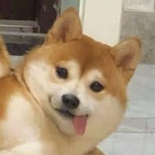 Nguyễn Minh Triết avatar